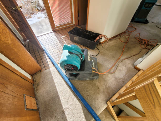 Best Water damage mitigation services  in Brambleton, VA