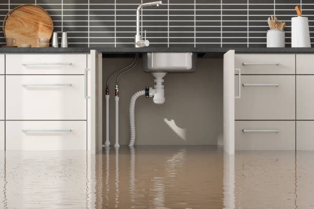 Best Fire Damage Restoration  in Brambleton, VA
